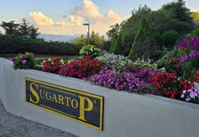 featured image of 303 Sugar Top Dr #2123