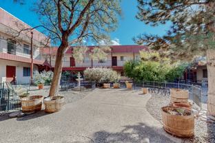 Lomas Gardens - Photo 1 of 1