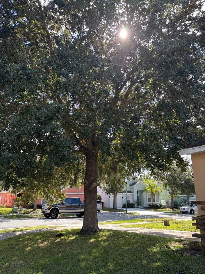 470 Scrub Jay Way - Photo 2 of 33