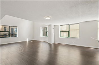 10 West Erie Street #0602 - Photo 2 of 5