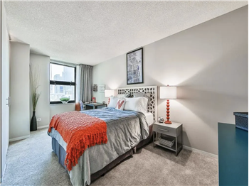 10 West Erie Street #0602 - Photo 4 of 5