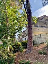 62 Maegan Pl #4 - Photo 1 of 1