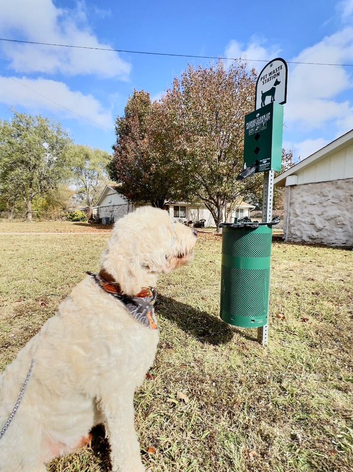 Legacy @La Hacienda - Photo 6 of 29