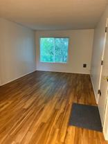 LS60TH - 233 NE 60th Ave. - Photo 1 of 1