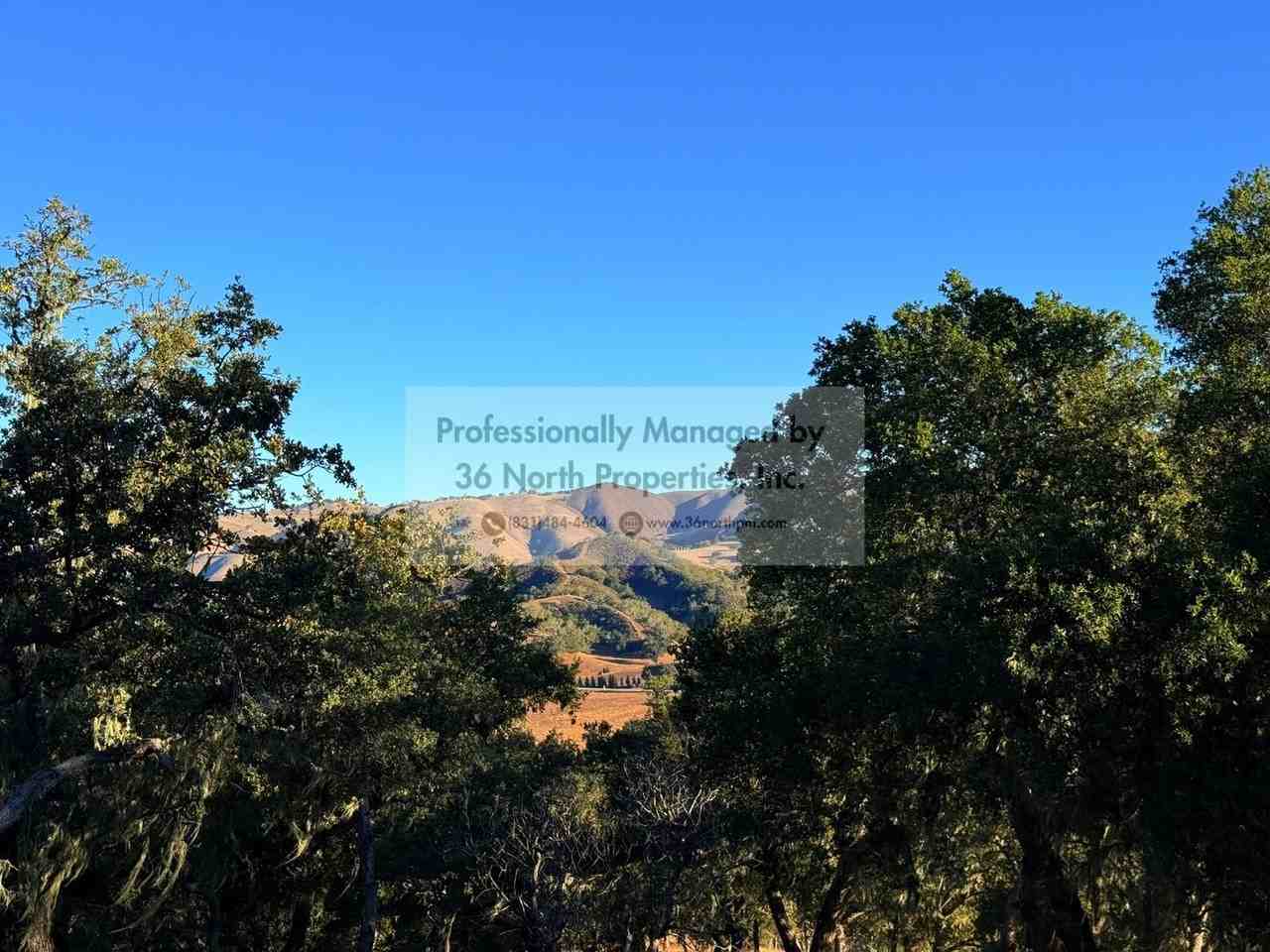 37509 Tassajara Rd #A - Photo 4 of 12