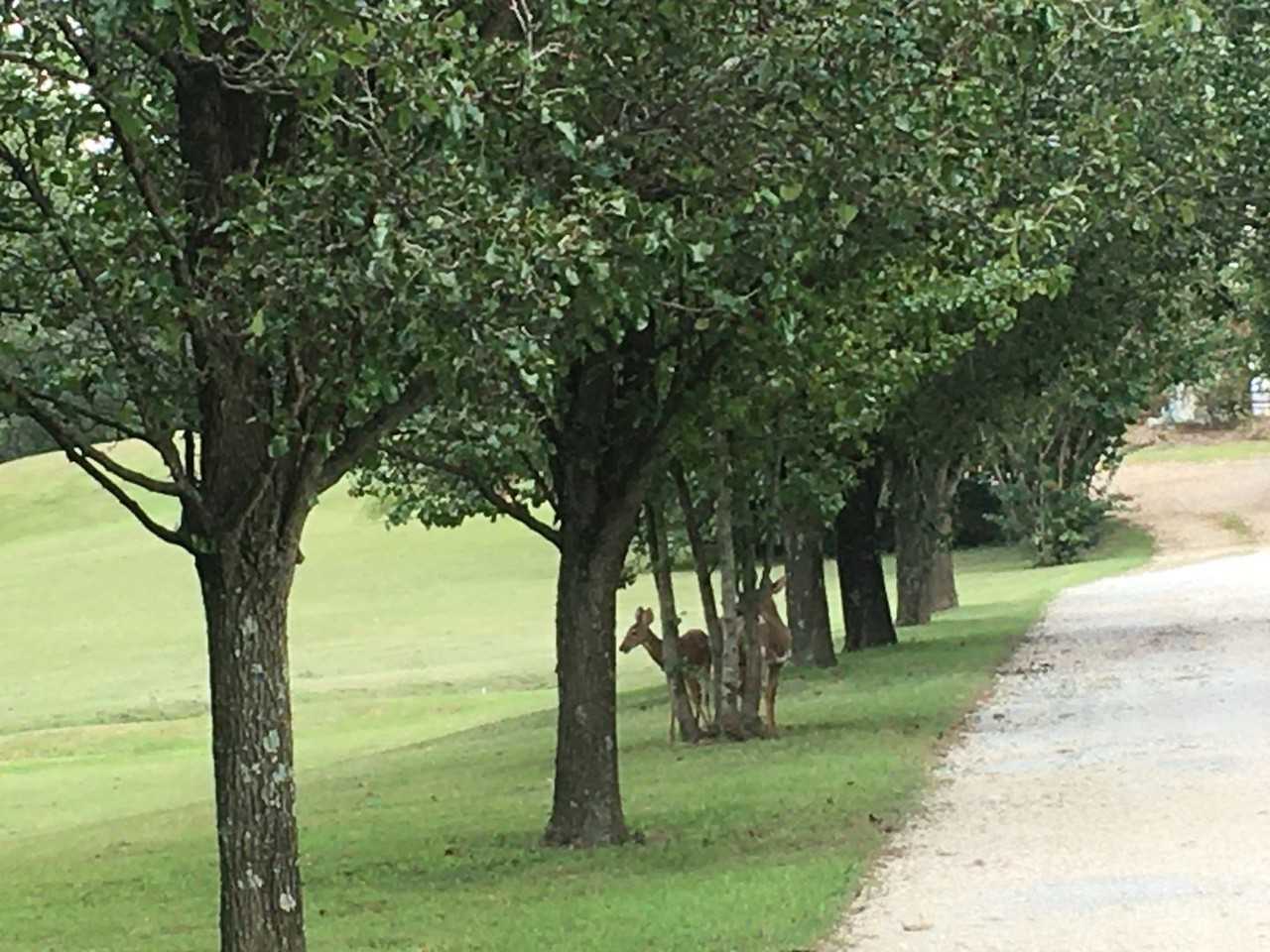 174 Schools Dr - Photo 2 of 23