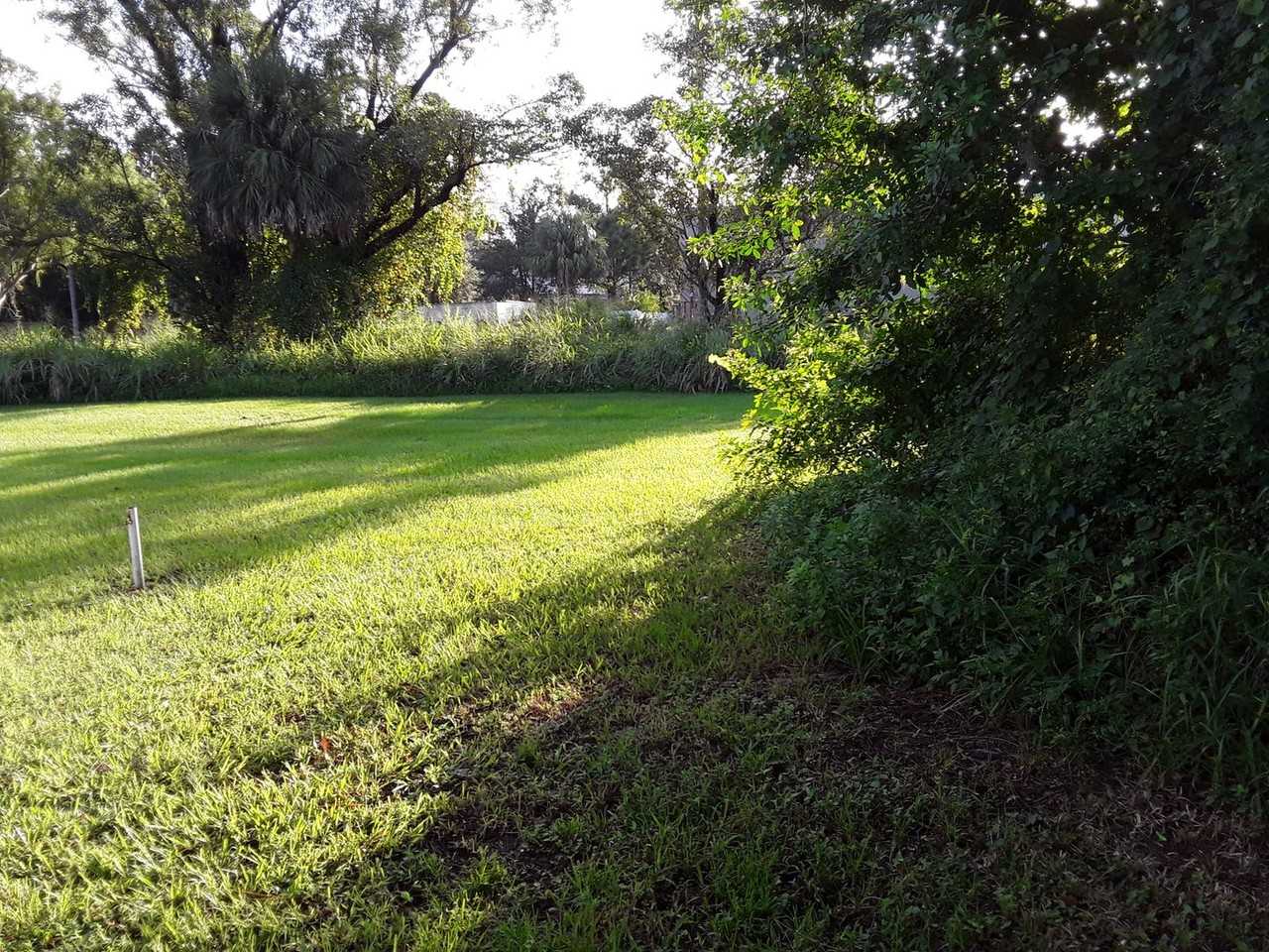 120 Laurel Oak St - Photo 7 of 12