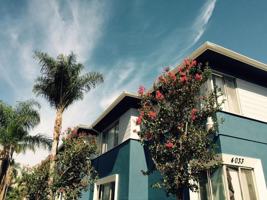 featured image of 4033 Palmwood Dr