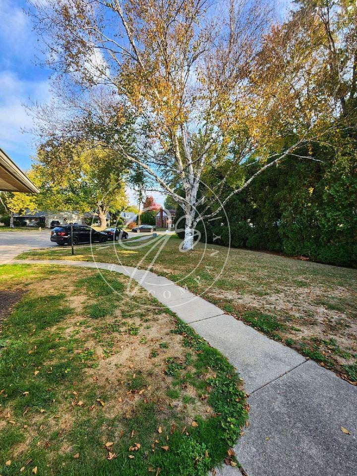 1103 Maple Ct - Photo 2 of 24