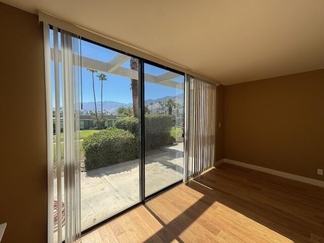 837 N Calle De Pinos - Photo 7 of 14