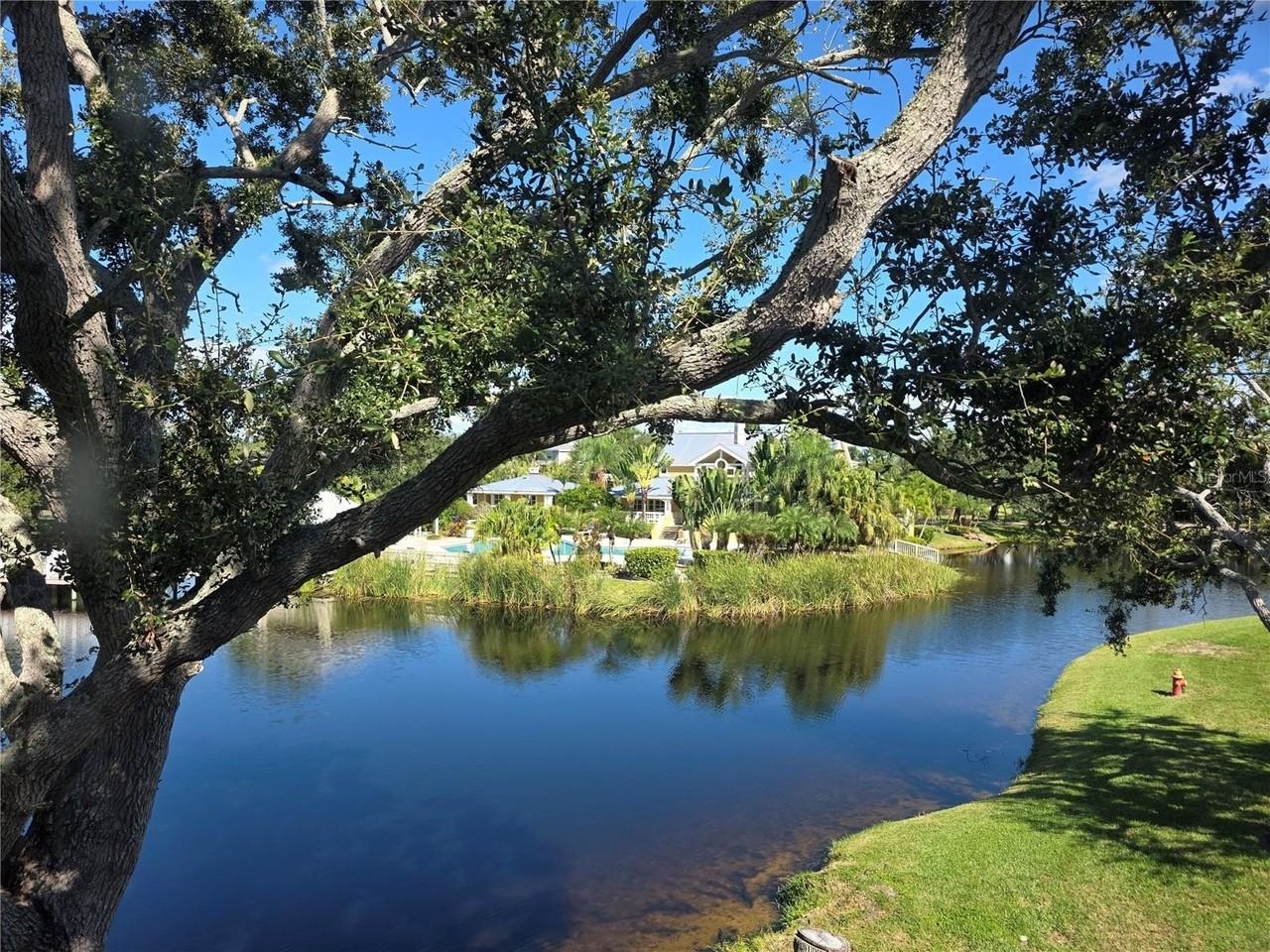 115 112th Ave Ne #1028 - Photo 3 of 43