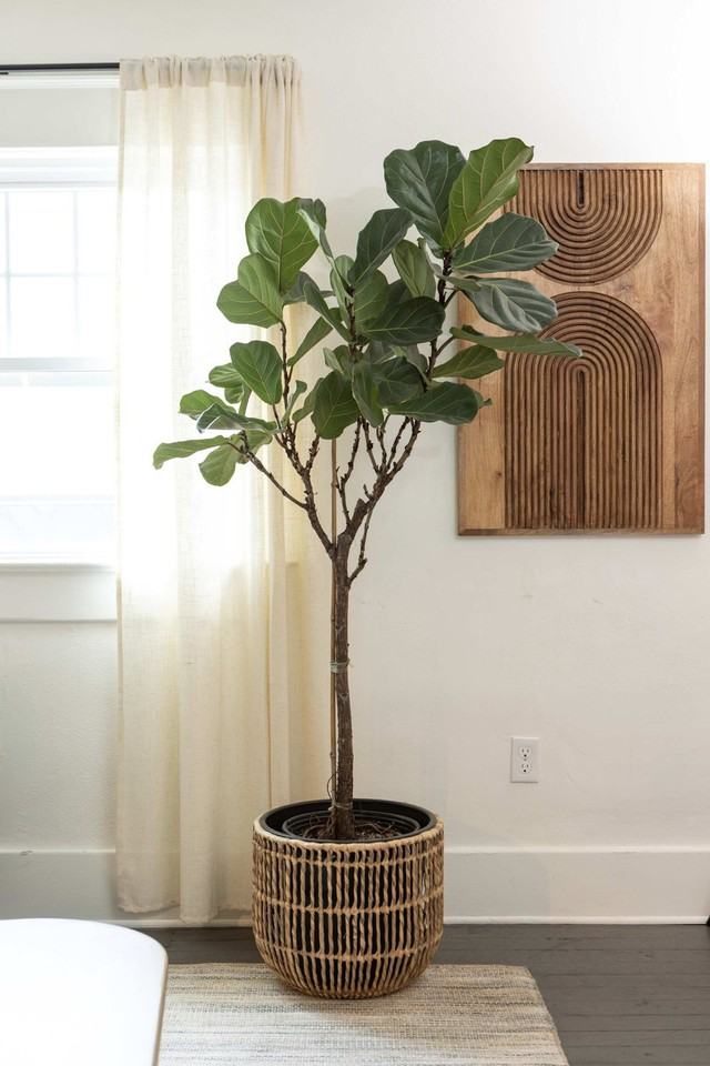 522 W Franklin St #1324058P - Photo 7 of 37