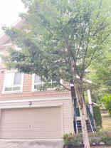 1305 Soball Street - Photo 1 of 1