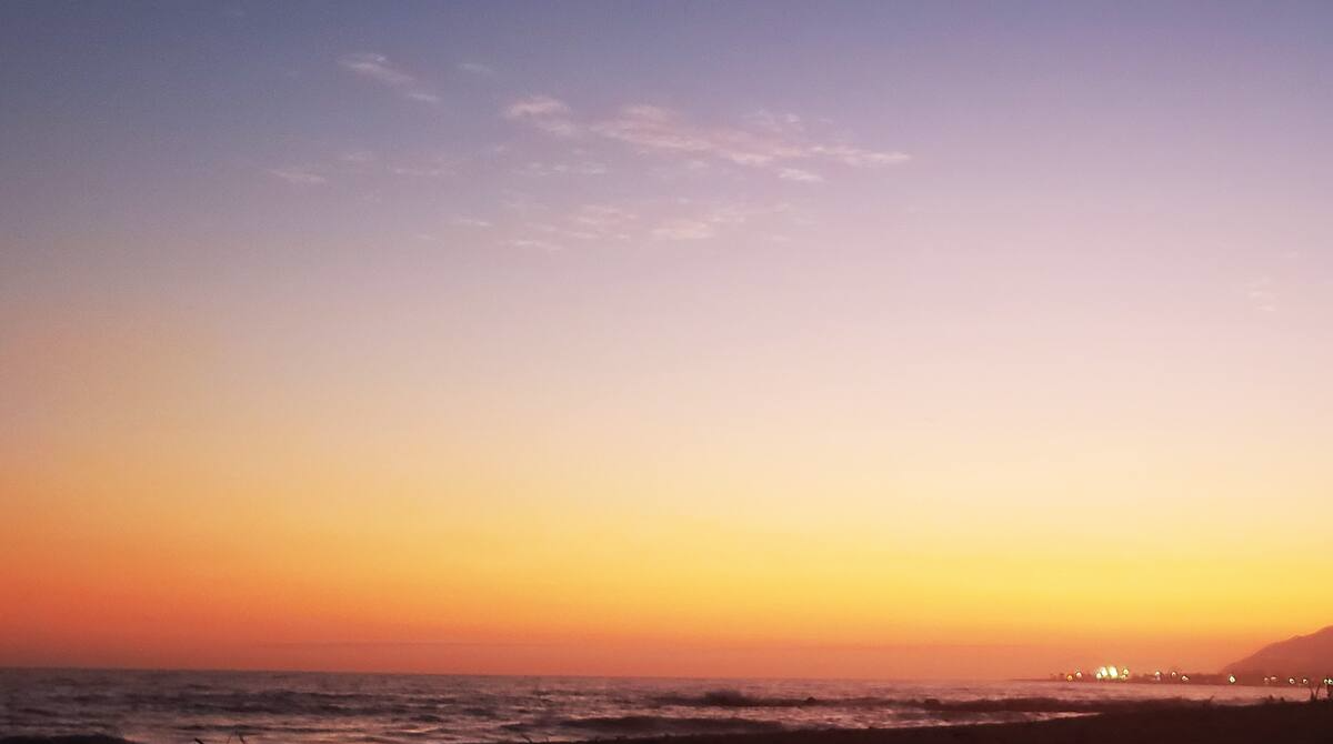 1159B Montauk Ln - Photo 2 of 9