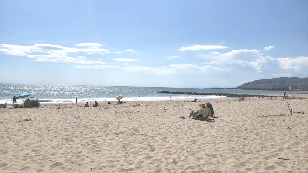 1159B Montauk Ln - Photo 3 of 9