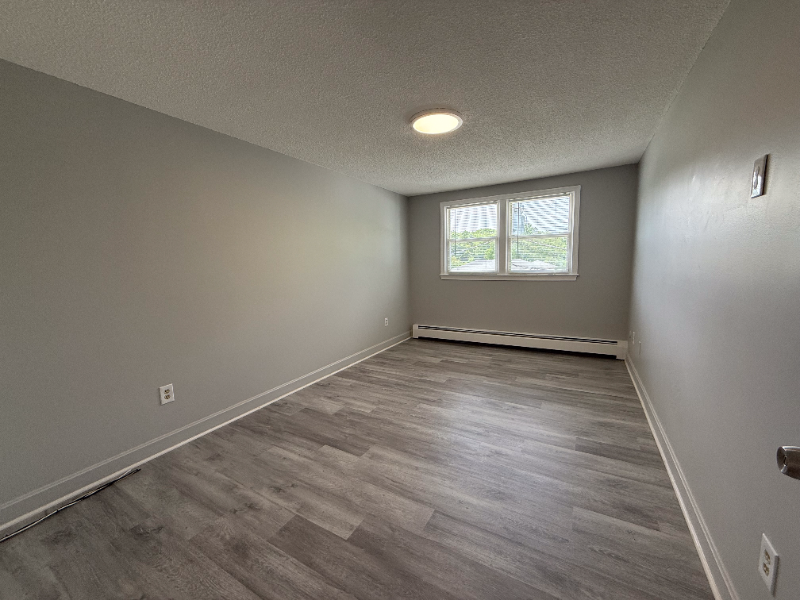 37 Delmont St #5 - Photo 5 of 12