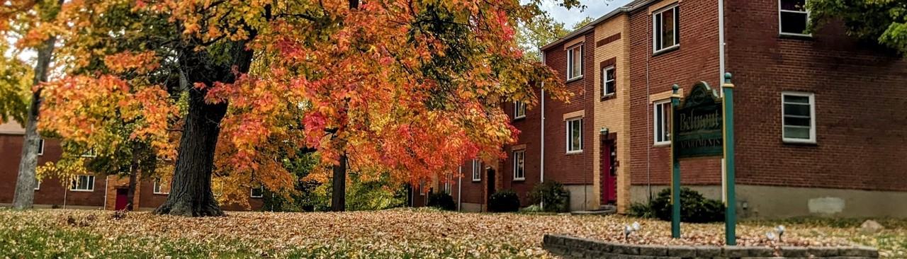 Belmont Apartments 5936 Belmont Ave - Photo 7 of 29