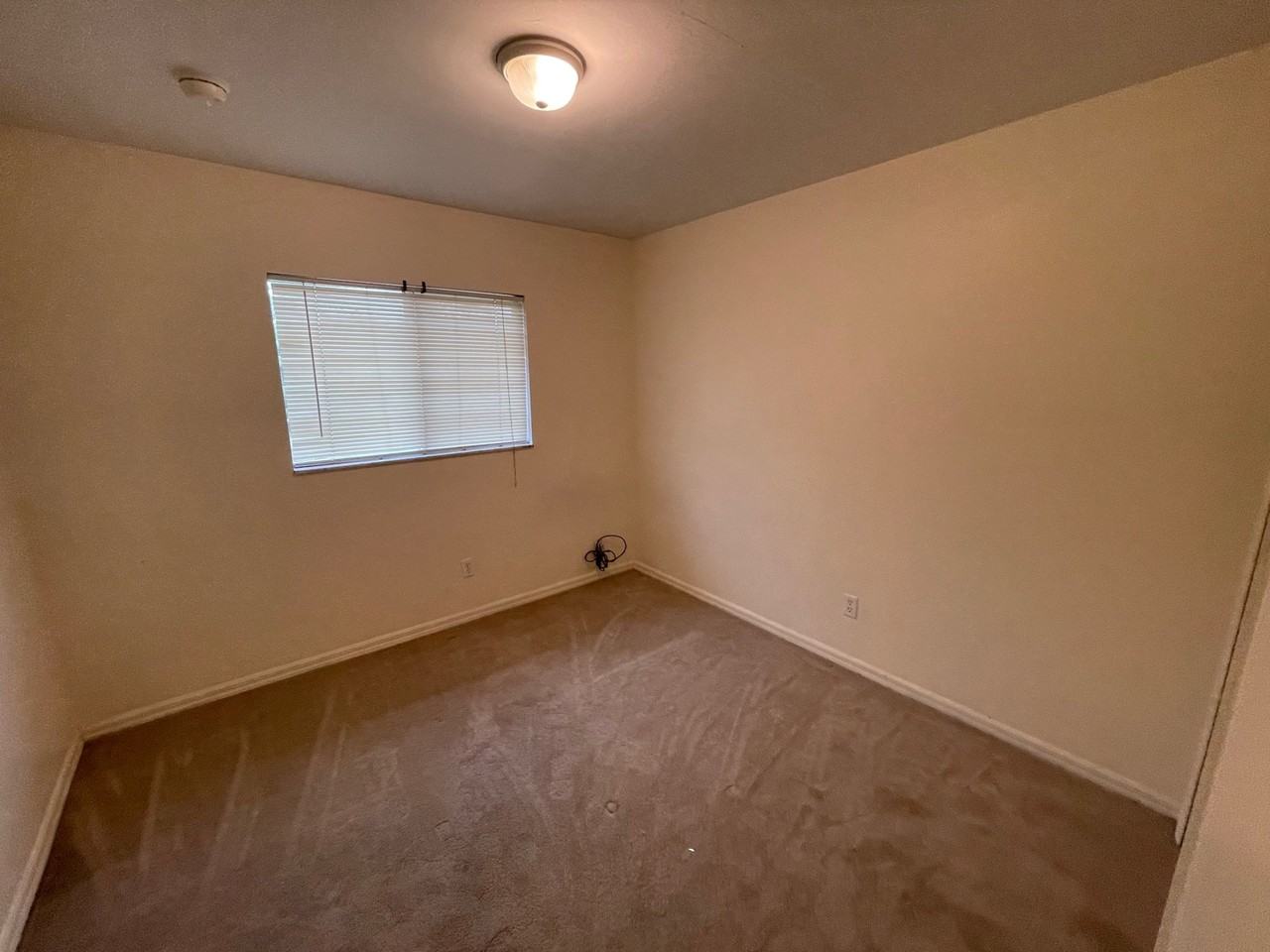 2434 Venice Ave N #2434 - Photo 5 of 7