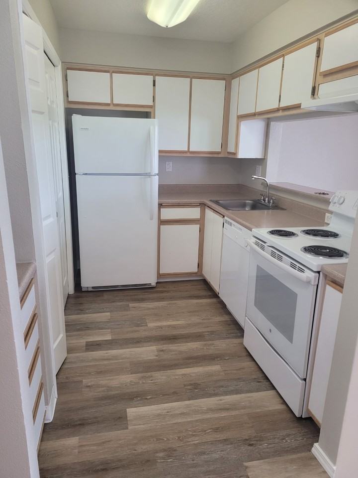 5609 Finch Dr - Photo 6 of 13