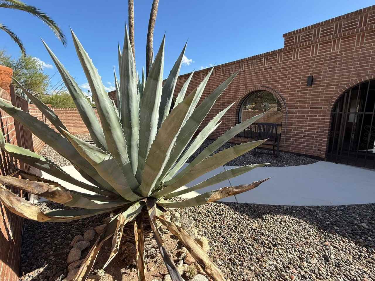 1402 E Big Rock Rd - Photo 5 of 50