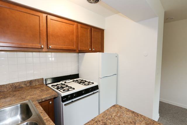 540 W Roscoe St #489 - Photo 3 of 14