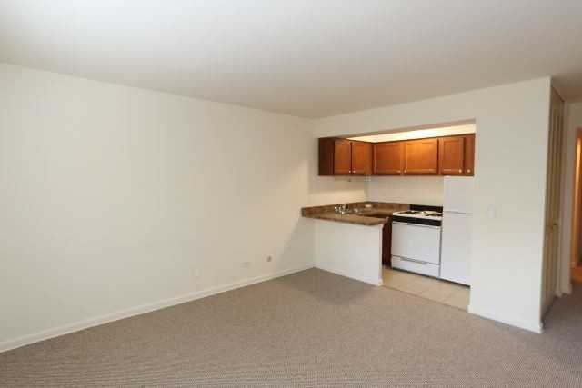 540 W Roscoe St #489 - Photo 6 of 14