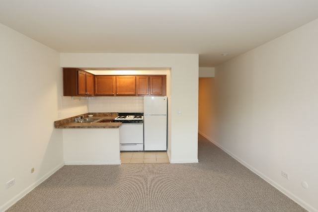 540 W Roscoe St #489 - Photo 7 of 14