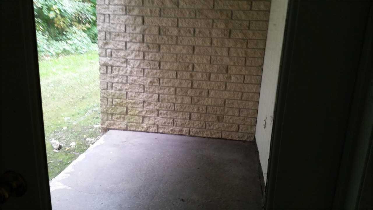 Skyline Woods - Photo 4 of 5