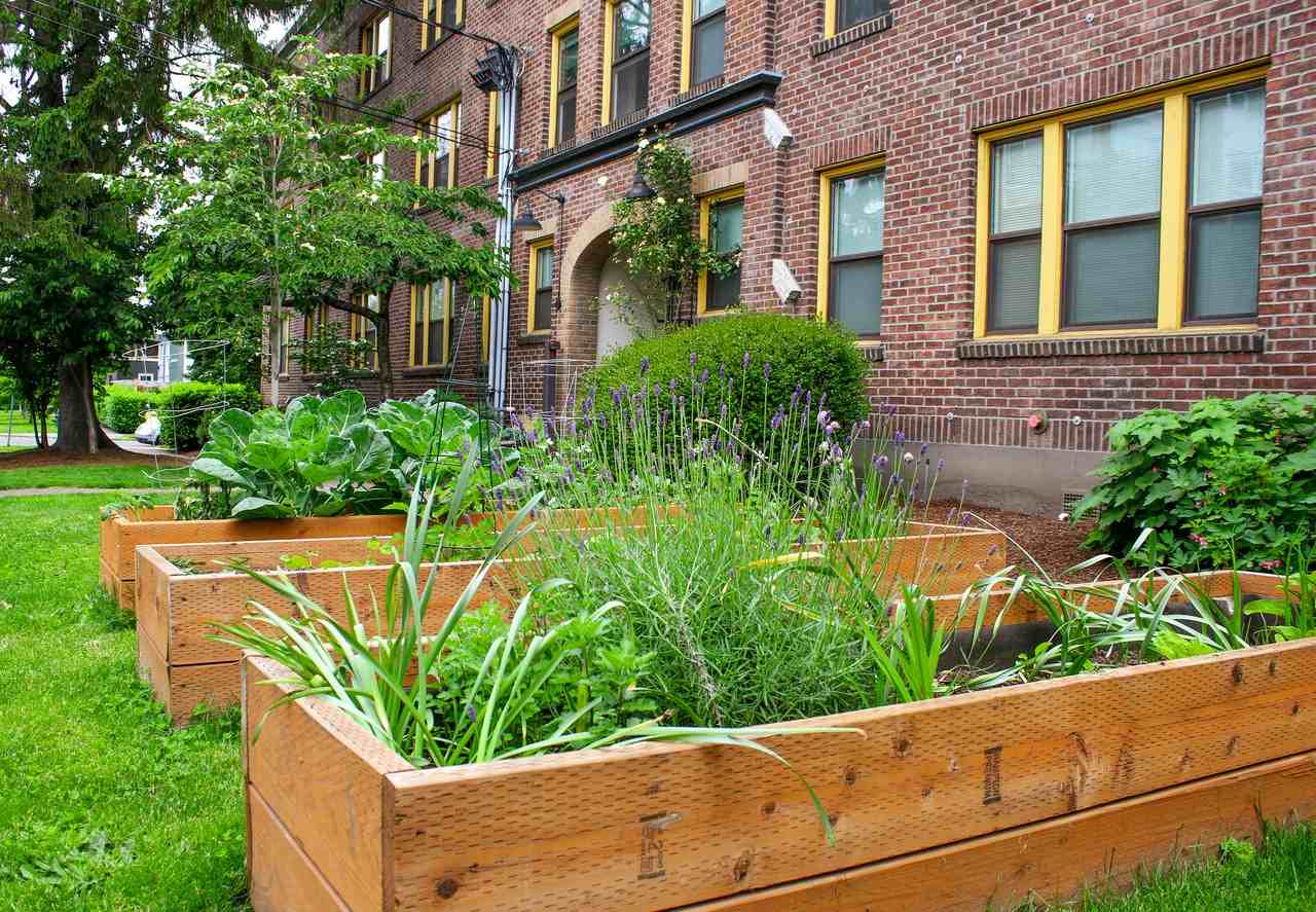 1818 20th Avenue - Photo 2 of 12