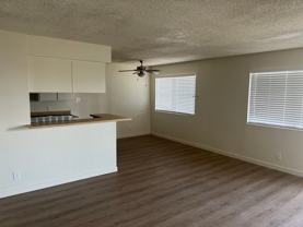 Calcaterra Cir. 513 - Photo 1 of 1