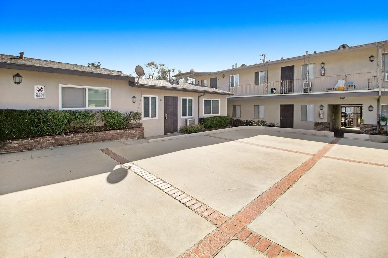 Olive - Photo 2 of 2