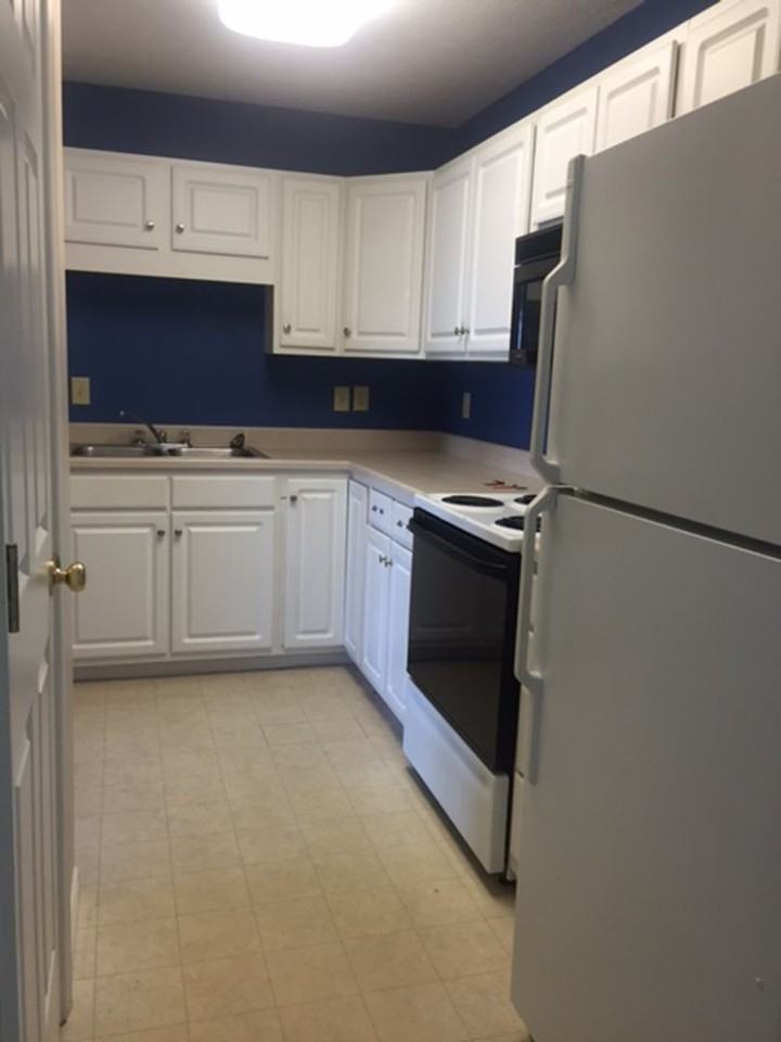 1312 Old Windmill Cir - Photo 4 of 12