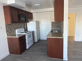 Magnolia - Photo 1 of 1