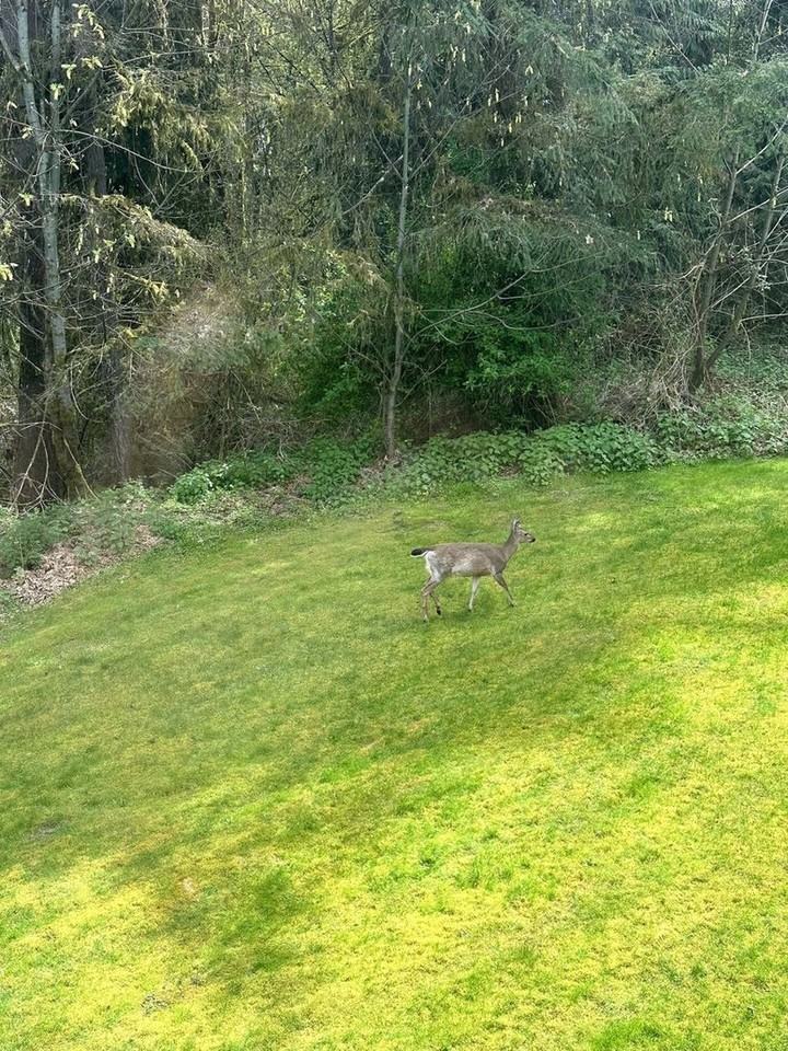 2821 60th Ln Se - Photo 5 of 28