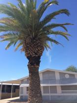 26618 S Maricopa Pl #NA - Photo 1 of 1