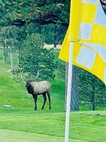 featured image of 2338 Hearth Dr #26