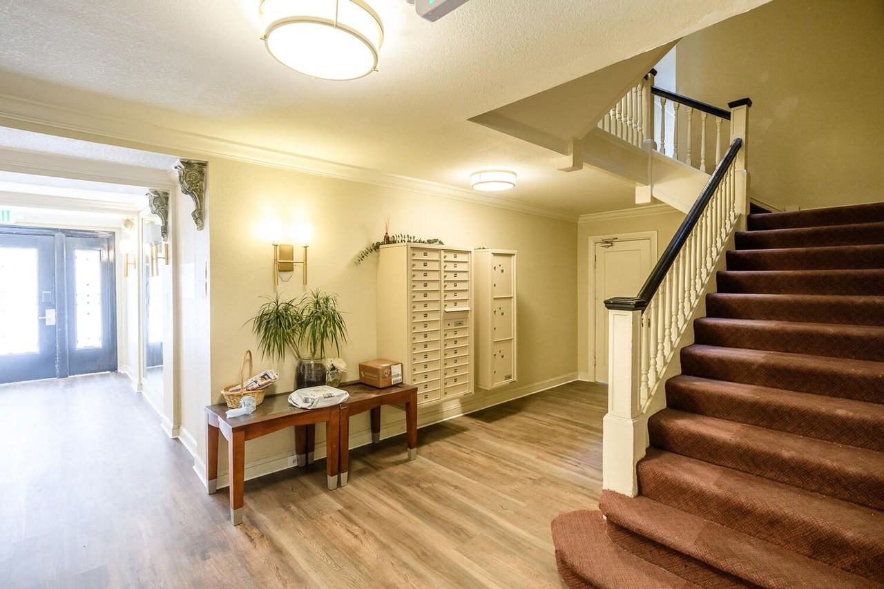 chestnut 2390 - Photo 2 of 3