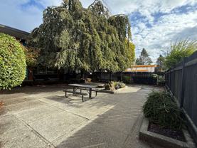 Nedra Apartments – Boutique West Seattle Living Near Lincoln Park - Photo 1 of 1