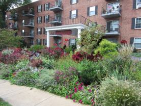 Algonquin Apartments - Photo 1 of 1