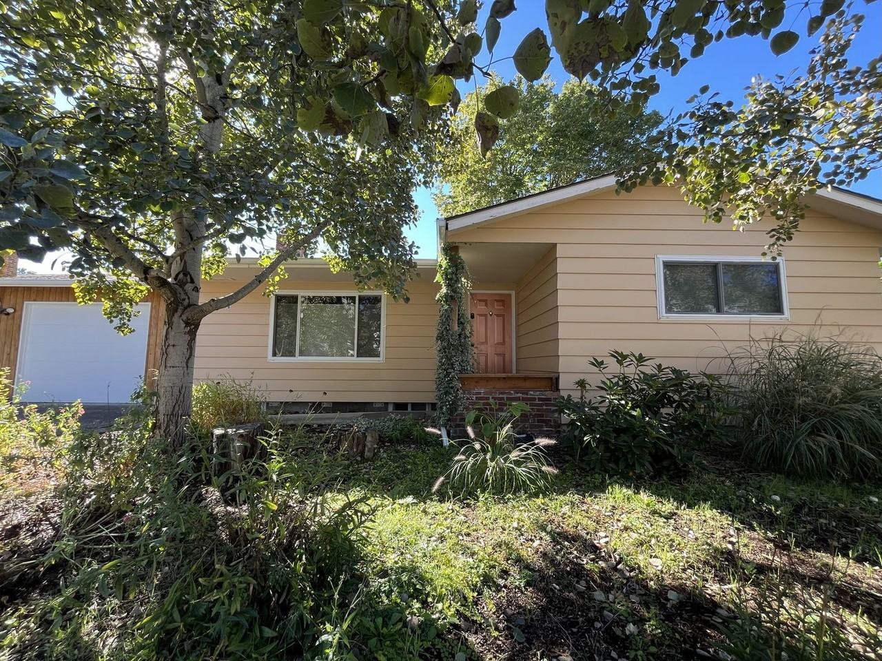 10920 Southeast Cherry Blossom Drive #B - Photo 3 of 23