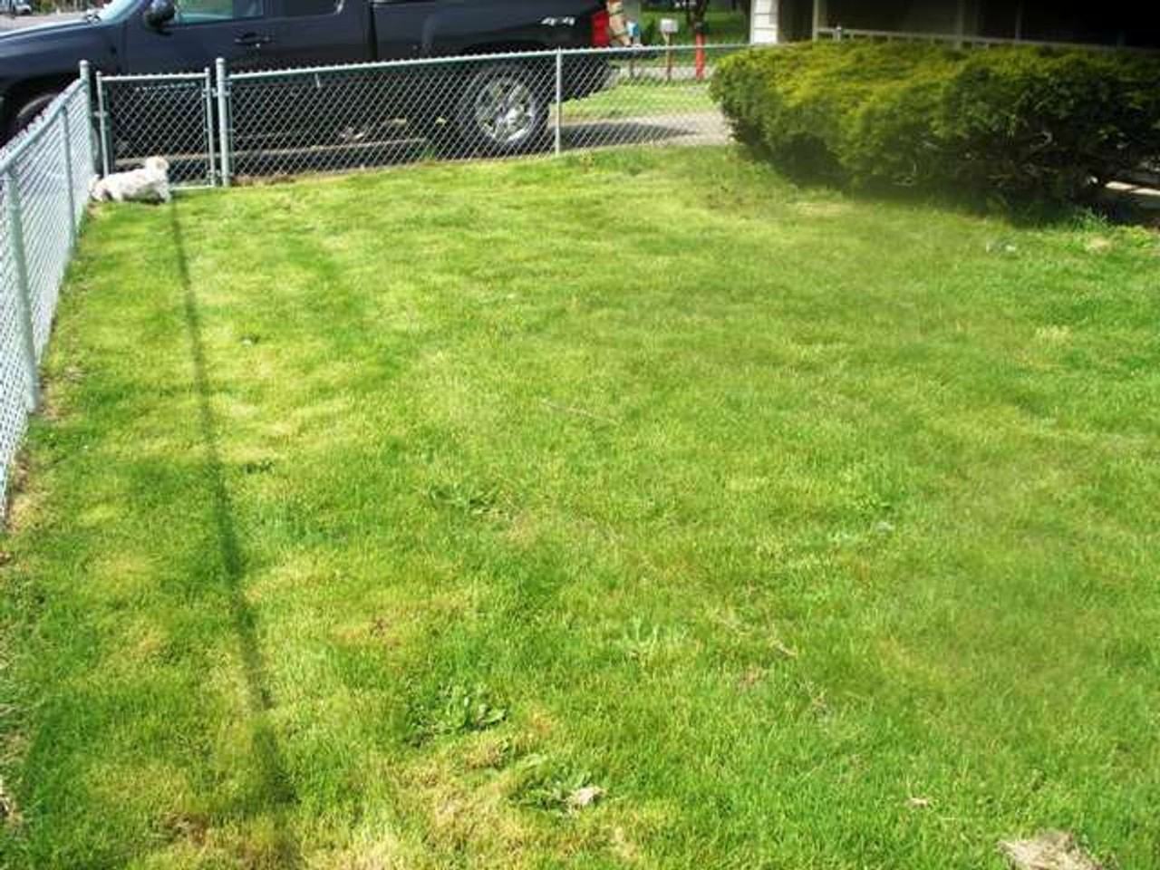 206 E H St - Photo 5 of 25