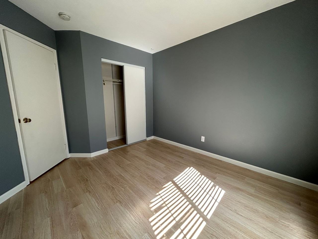 31875 Calle Novelda - Photo 7 of 10