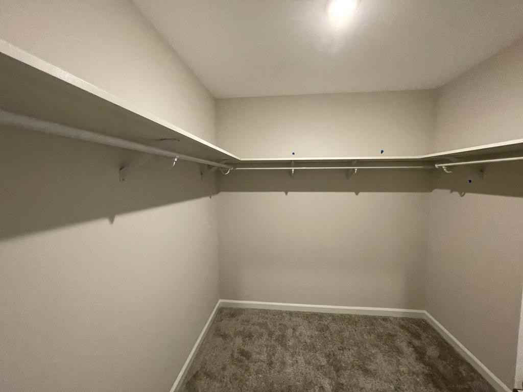 1123 Badlands St #1 - Photo 5 of 20