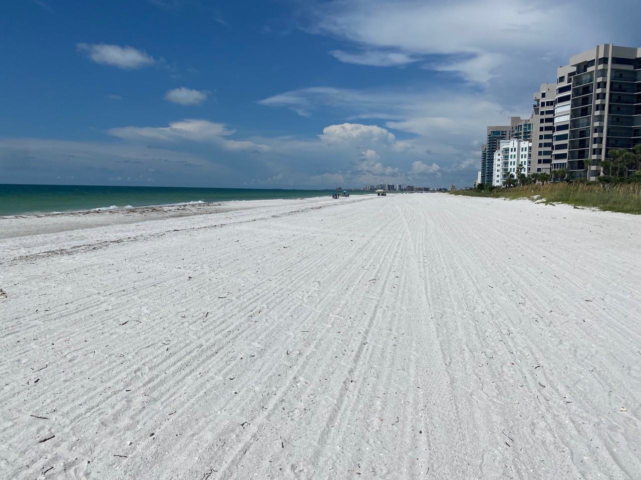 1660 Gulf Blvd Ph 8 #1 - Photo 4 of 26