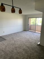 5126 Williams Fork Trl Apt 206 - Photo 1 of 1