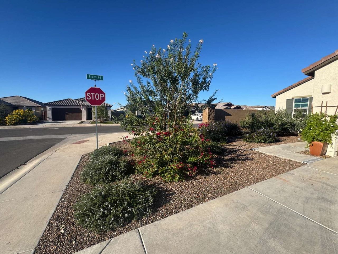 32067 N Wayne Ln - Photo 4 of 30