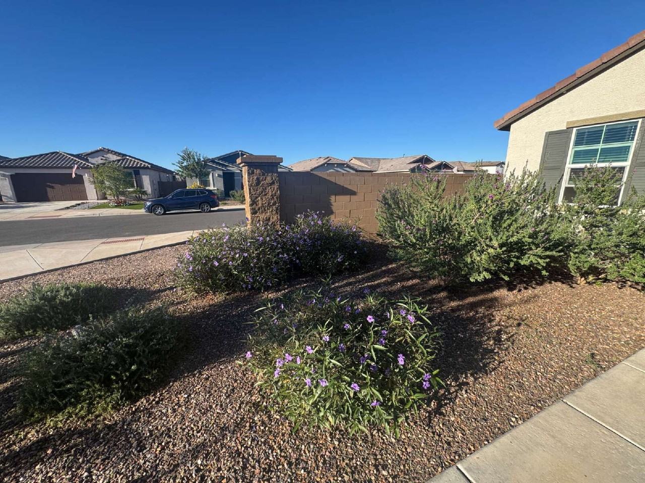 32067 N Wayne Ln - Photo 5 of 30