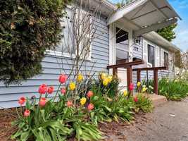 featured image of Norwich Dr #1