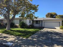 3979 Mulberry Dr #NA - Photo 1 of 1