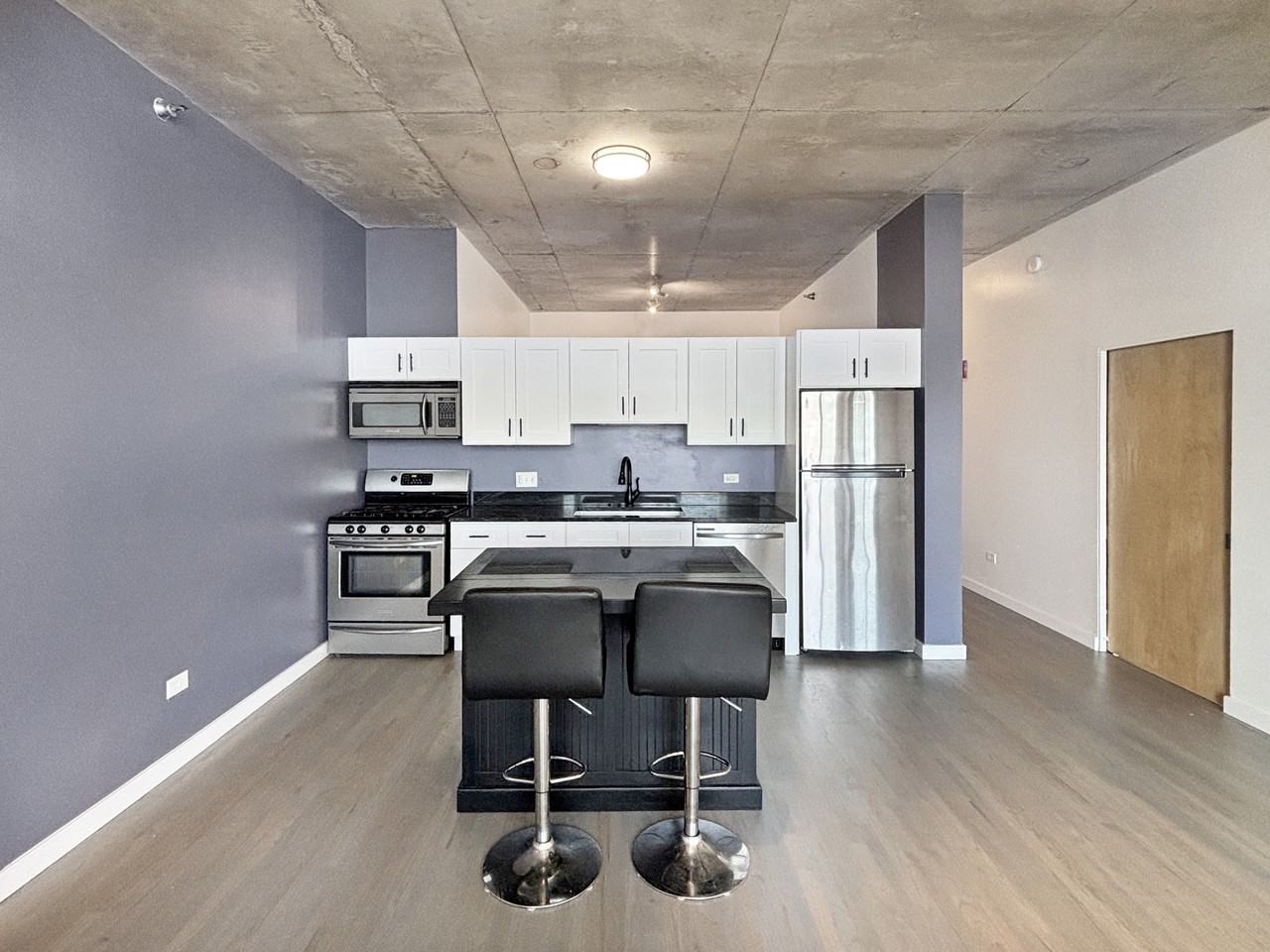 1720 S Michigan Ave, Chicago, IL - Photo 3 of 21